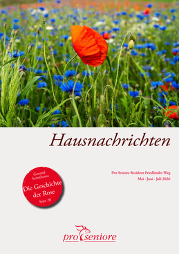 PDF Vorschau